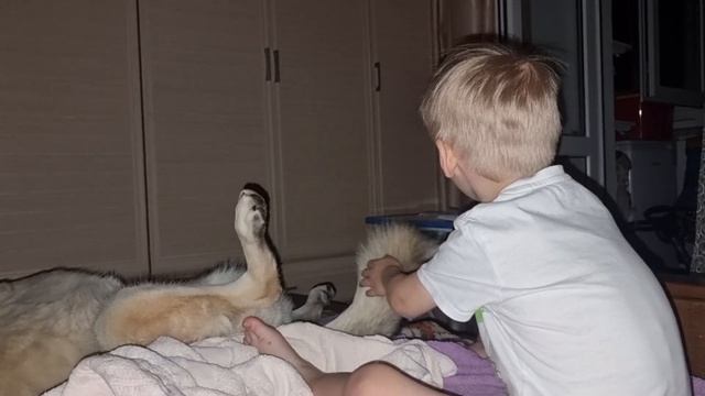 Серёжа и хвост. Нуми - образец терпения и доверия смотреть онлайн