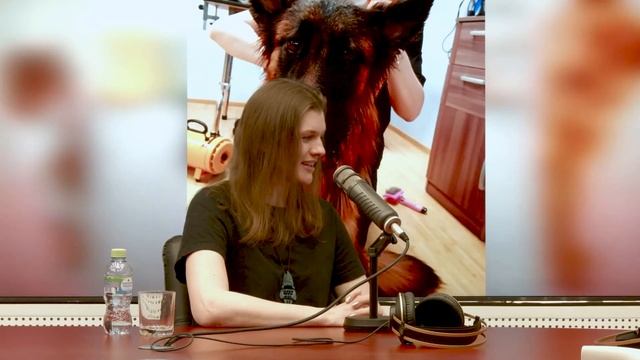 Зверьё моё: груминг собак и кошек смотреть онлайн