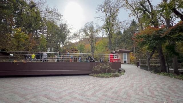 Седанка парк | Осенний Владивосток