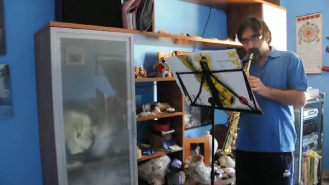 amapola sax soprano смотреть онлайн