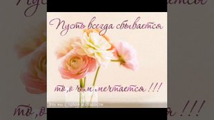 Мама, мама, твоё сердце, я твои целую руки!