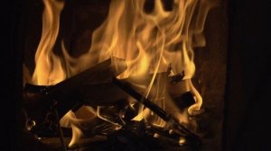 Косица намерения