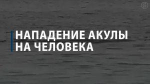 Россиянин погиб при нападении акулы у пляжа в Египте