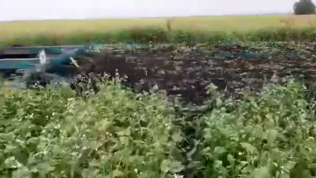 Т-150 і борона УДА-3,1 Олійна редька на сидерат.mp4 смотреть онлайн