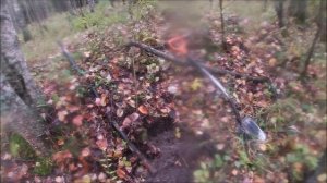 Новгородская+Ленинградская область. Волховский фронт