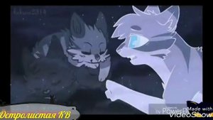 Коты-Воители / Warriors cats Звёздное племя/ Star tride