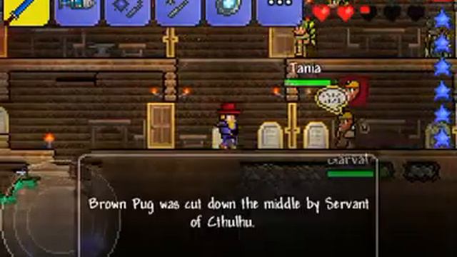 My House And Every NPC In Terraria Easy Mode смотреть онлайн