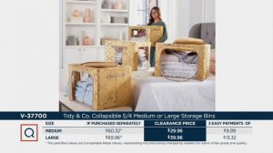 Tidy & Co. Collapsible S/4 Medium or Large Storage Bins on QVC