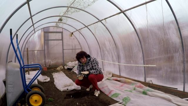 Хранение хризантем смотреть онлайн