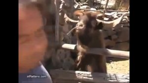 СОНИК В КИНО 2019 - антитрейлер по-русски от @RusVer