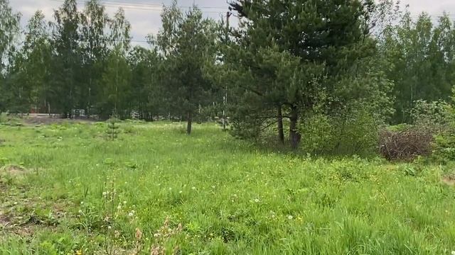 Участок СНТ Мечта, Московская область