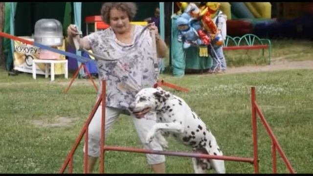 Далматины