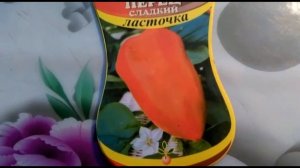 Лучшие сорта болгарского перца для фарширования!!