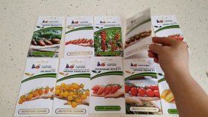 ТОМАТЫ черри- 2020? .Мой выбор !!! СЕМЕНА от фирмы ПАРТНЕР.