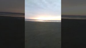 Нашествие медуз село Маргаритово