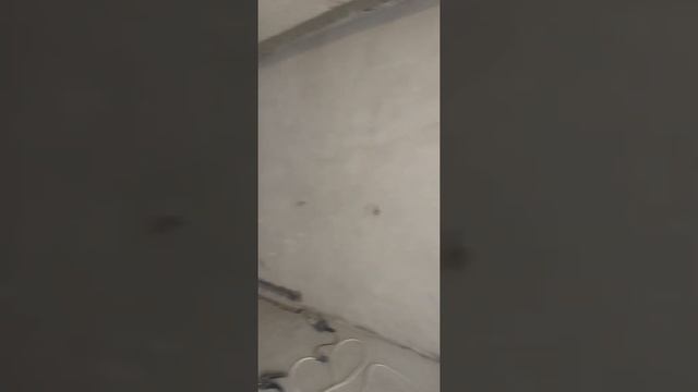 Ремонт 71 квадрат башталышы 3000 сом 1 квадрат смотреть онлайн