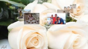 Фарфоровая свадьба