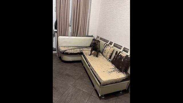 Перетяжка мягкой мебели. Новая жизнь твоего дивана. смотреть онлайн