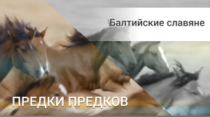 Балтийские славяне