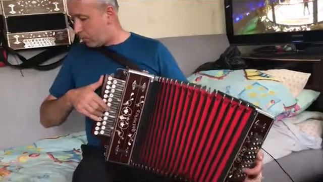 Гармонь Оленичева