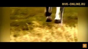 Манчаары Баhылай 215 сыла