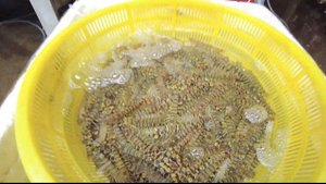 Шок и ужас Азии-Продуктовые Рынки Китая [Китайская Еда] (2)