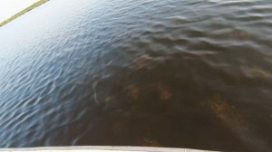 Рыбалка мечты! Живём неделю на Васюганских болотах | В погоне за окунем и щукой