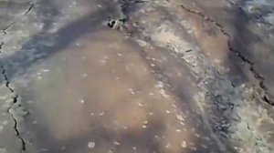 ОГРОМНЫЙ СЛОН сбежал из зоопарка в Ижевске!