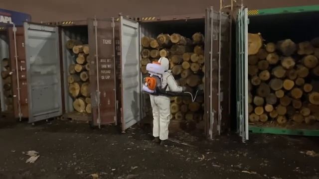 Фумигация круглого леса