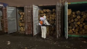 Фумигация круглого леса