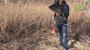 Какую мотокосу выбрать? Косим КАМЫШ, тестируем  косу!!!  1.1 л.с. триммер Echo SRM 22 Ges.