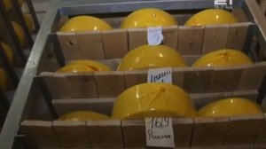 "Воскресенский сыродел": победы, новый сорт сыра и планы на будущее