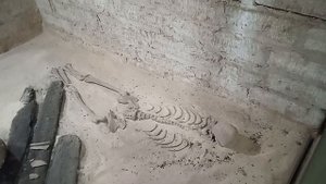 По следам Рюрика. На автодоме в Старую Ладогу