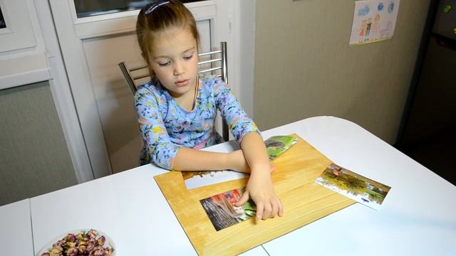 Осенний коллаж/поделка из природного материала смотреть онлайн