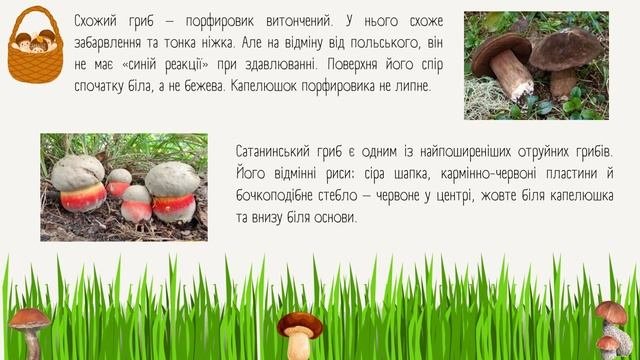 Вікторина-пошук «У лісочку ріс грибочок»