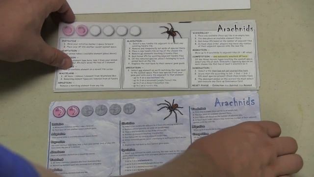 Dominant Species 3rd Edition Components - with Tom Vasel смотреть онлайн