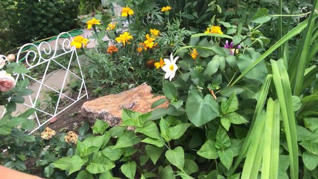 Об ароматах в саду)) смотреть онлайн