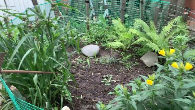 Семья в России♥️День рождения у дедушки! Наши сады и огороды! Вкусная черешня! Семейный Влог MARY M смотреть онлайн