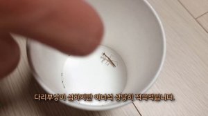 더욱 강력해진 2령 사마귀들. 그리고 씨앗이들의 죽음