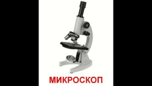 Предметы обихода - Презентация для детей по Доману (Часть 2). Развивающий мультик для детей от года