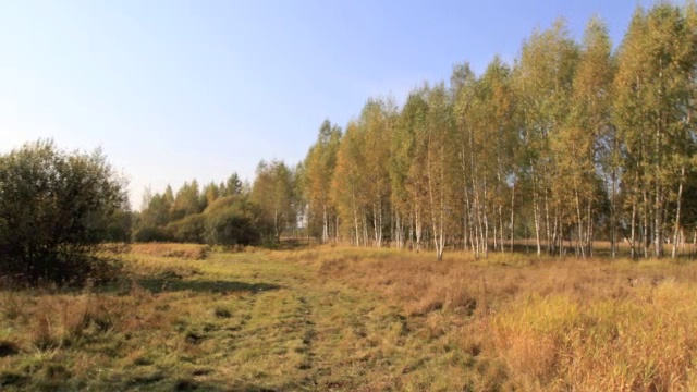 Обернитесь
