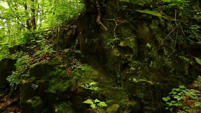 Глава 1 Часть 1 Part one Начало нашей прогулки к Ворошиловским водопадам 03 июля 2022 г. Воскресень смотреть онлайн