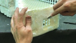 Делаем лёгкий палюдариум. Часть 1