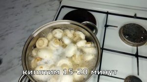 Маринованные грибы