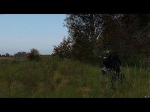 DAYZ. Сервер MANHUNT. Перестрелка на Вереснике