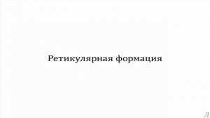 7.2 Эволюция. Ретикулярная формация