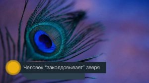 §3 "Возникновение искусства и религиозных верований", История древнего мира 5 класс, Вигасин