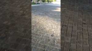 Тротуарная плитка из дерева