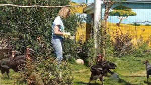 Московский зоопарк