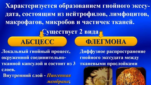 Патология - Лекция - Воспаление